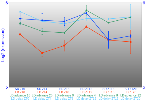 Expression graph