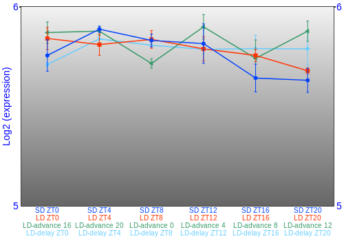 Expression graph