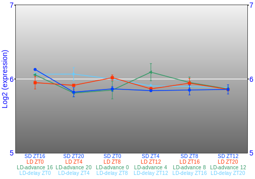 Expression graph