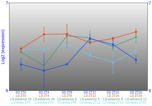 Expression graph