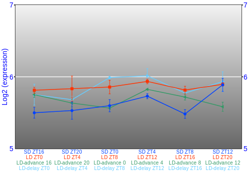 Expression graph