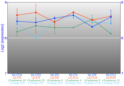 Expression graph