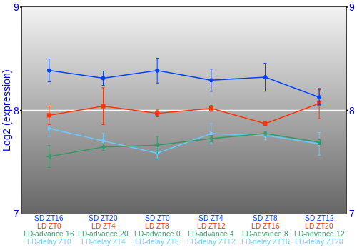 Expression graph