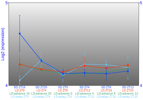 Expression graph