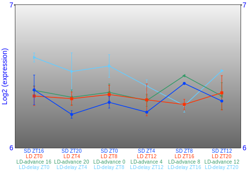 Expression graph