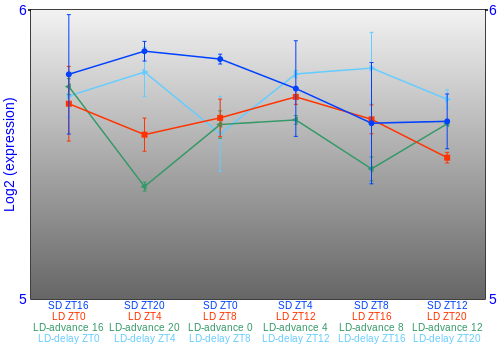 Expression graph