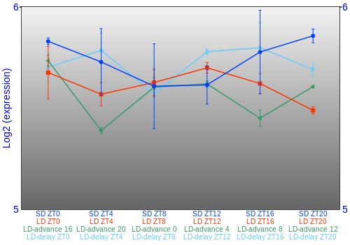 Expression graph