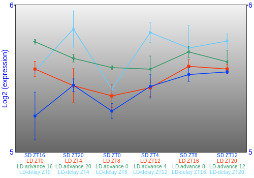 Expression graph