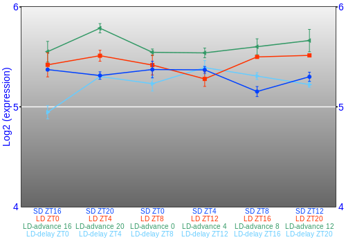 Expression graph