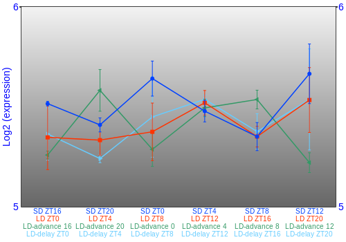 Expression graph