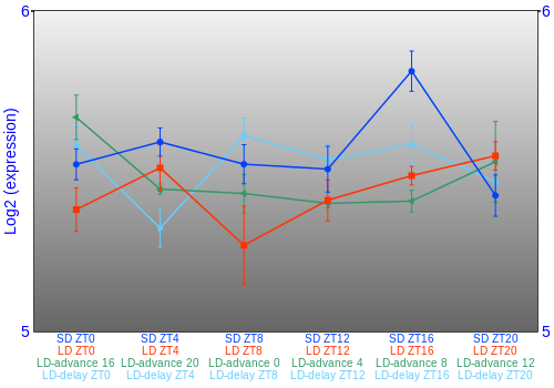 Expression graph