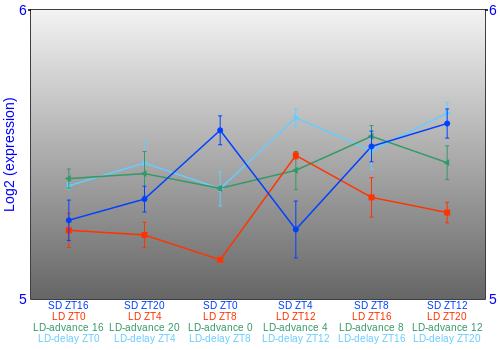 Expression graph