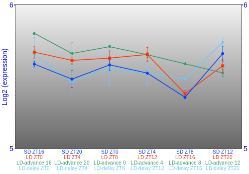 Expression graph