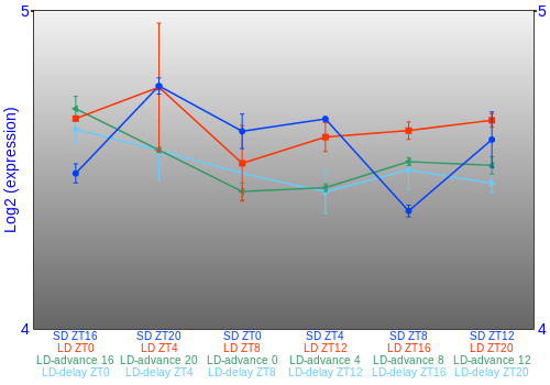 Expression graph