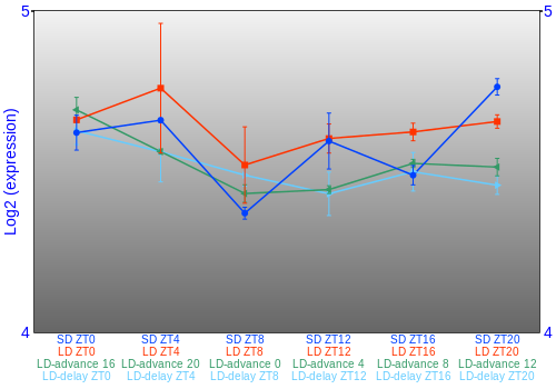 Expression graph