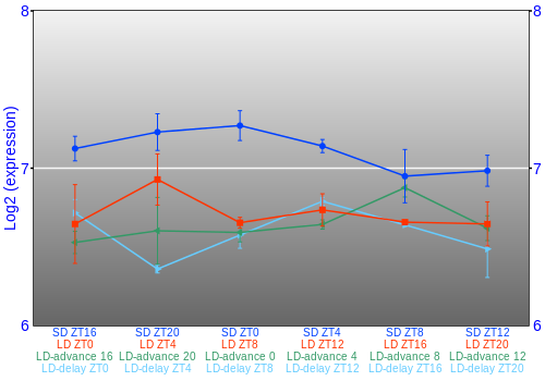 Expression graph