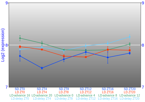 Expression graph