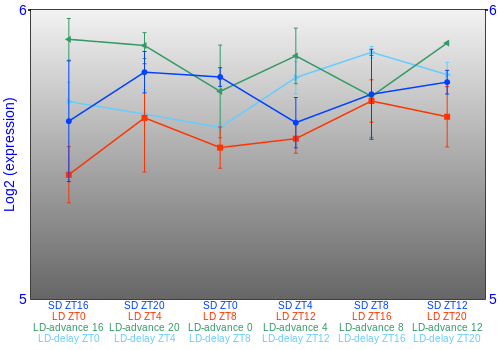 Expression graph