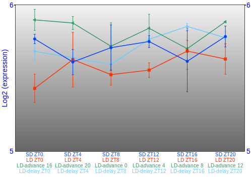 Expression graph