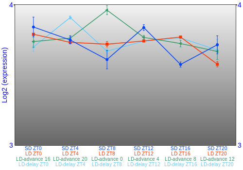 Expression graph