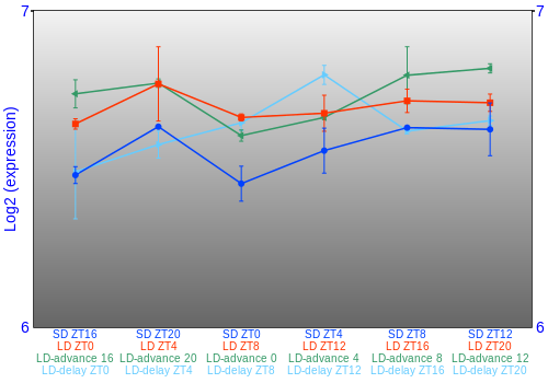 Expression graph