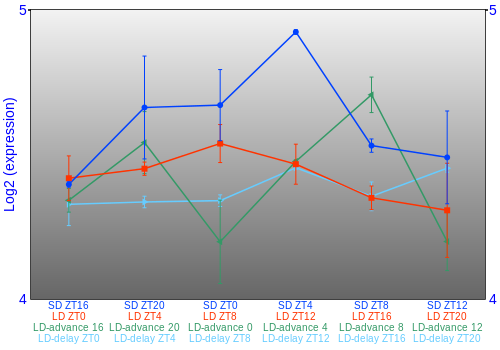 Expression graph