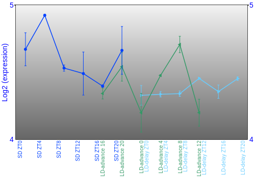 Expression graph