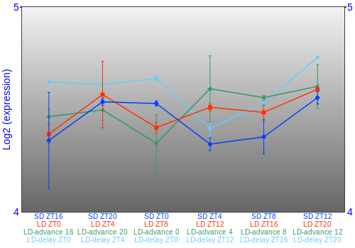 Expression graph