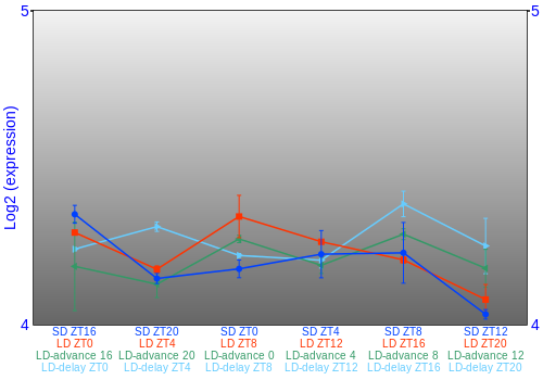 Expression graph
