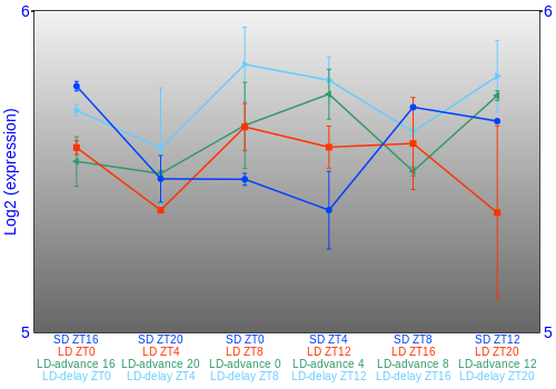 Expression graph