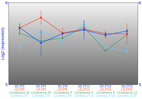 Expression graph