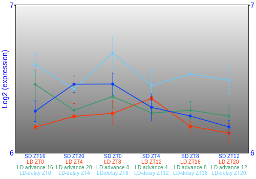 Expression graph
