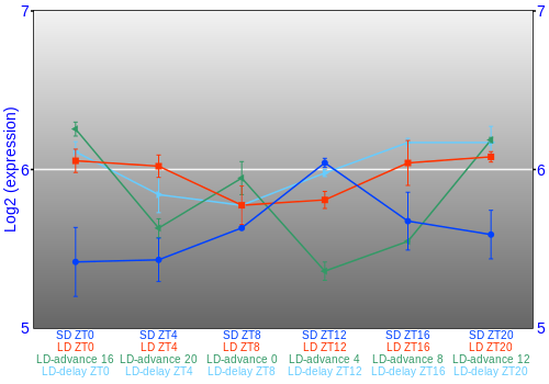 Expression graph