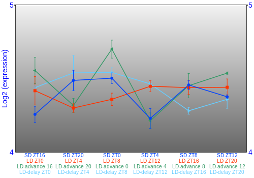 Expression graph