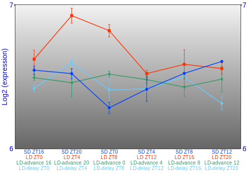Expression graph