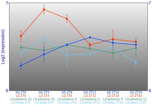 Expression graph