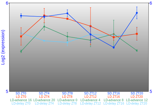 Expression graph