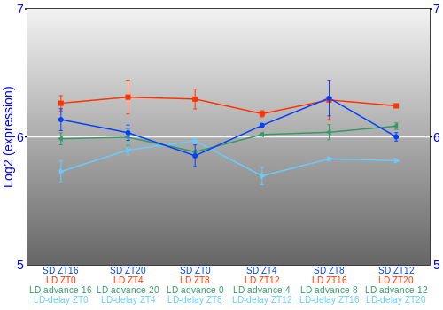 Expression graph