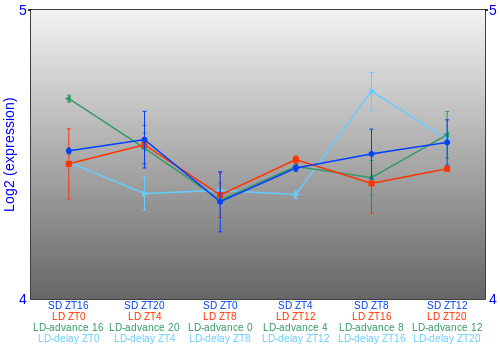 Expression graph