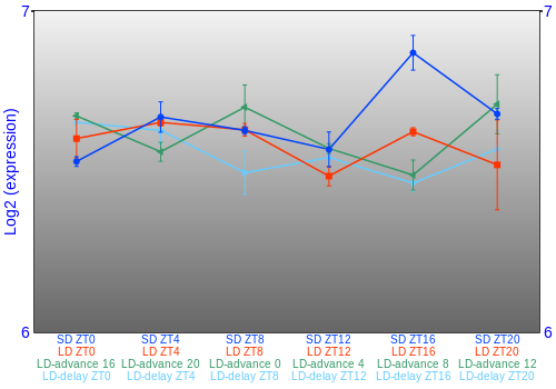 Expression graph