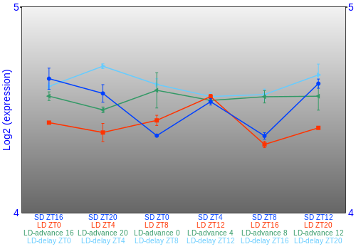 Expression graph