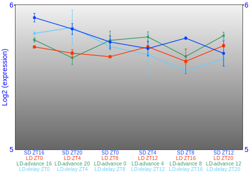 Expression graph