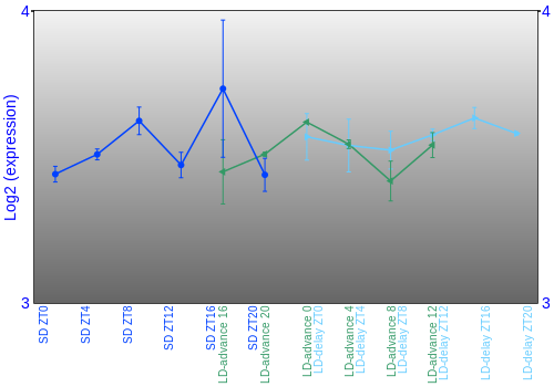 Expression graph