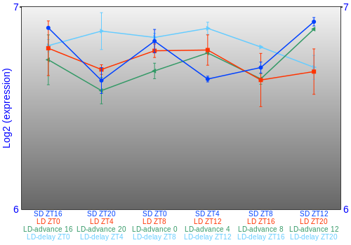Expression graph