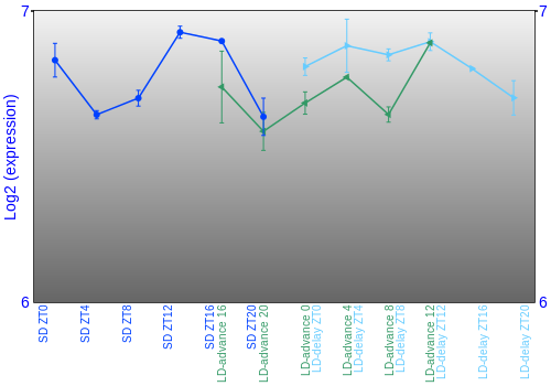Expression graph