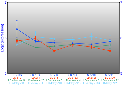 Expression graph