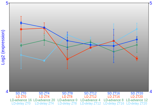 Expression graph