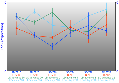 Expression graph
