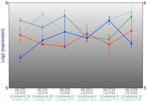 Expression graph