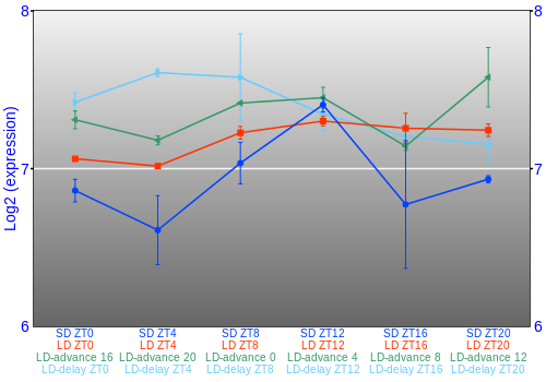 Expression graph